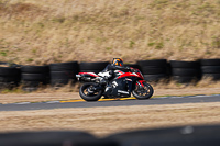 anglesey-no-limits-trackday;anglesey-photographs;anglesey-trackday-photographs;enduro-digital-images;event-digital-images;eventdigitalimages;no-limits-trackdays;peter-wileman-photography;racing-digital-images;trac-mon;trackday-digital-images;trackday-photos;ty-croes